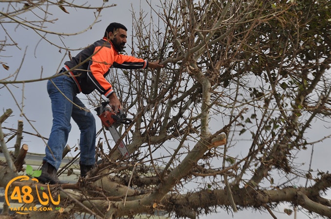 tasoo kazakhana (23).JPG